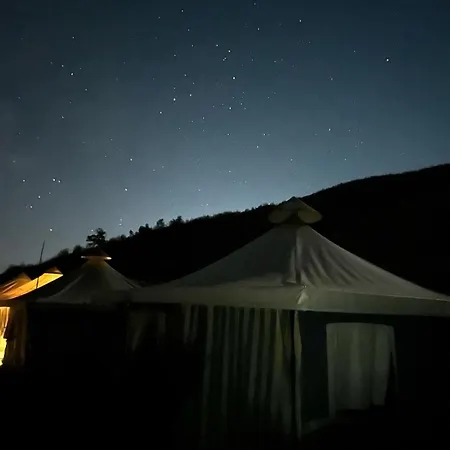 Kemping Tent In Nature