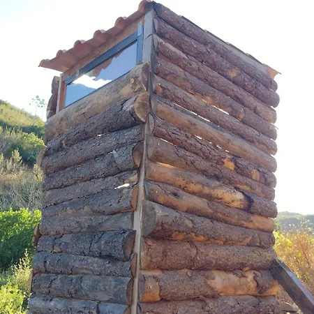 Κάμπινγκ Tent In Nature
