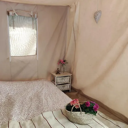 Κάμπινγκ Tent In Nature *
