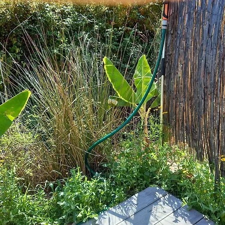 Tent In Nature Κάμπινγκ