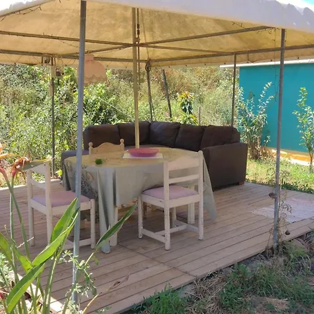 Tent In Nature
