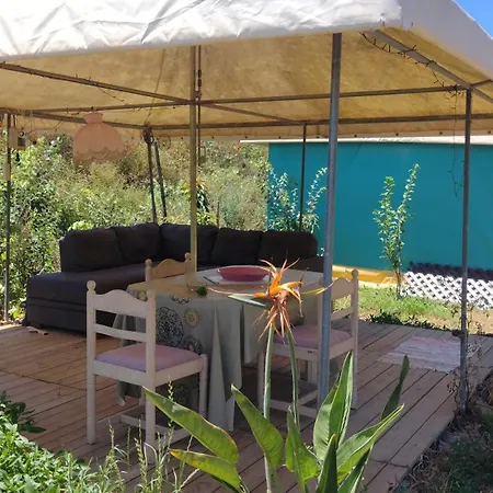 Campingplatz Tent In Nature