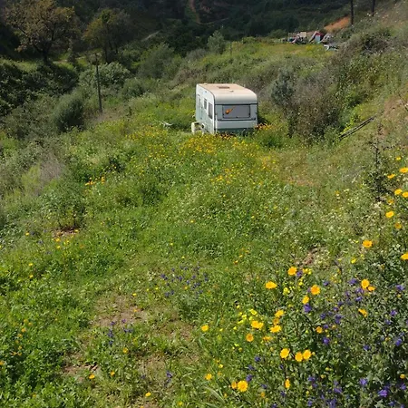 Tent In Nature Campingplatz