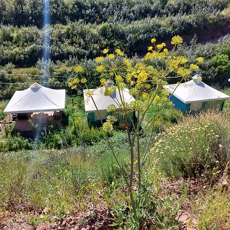 Tent In Nature Campingplatz Monchique